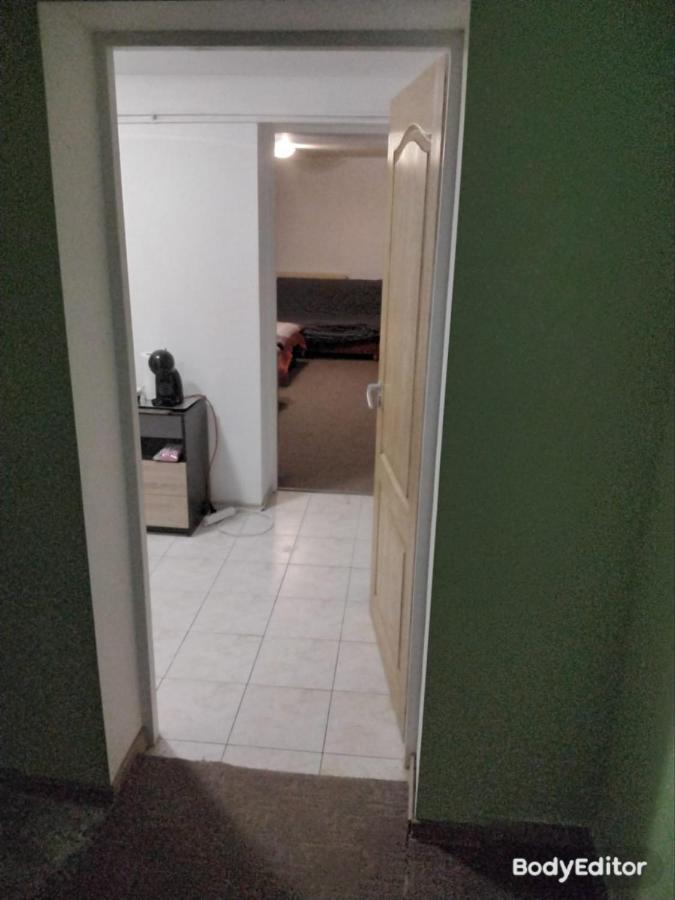 Camera Cu Baie Tina Timişoara Extérieur photo